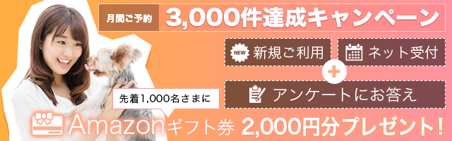 3000件達成キャンペーン