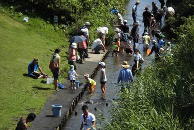 神奈川県の川遊びスポット10選 大人も子供も楽しめる Epark Cocoyuco
