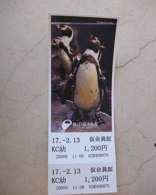 新江ノ島水族館の入場料金・クーポンチケット情報｜JAF・前売り券も | EPARK cocoyuco!