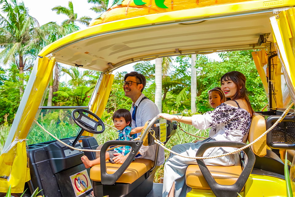 パーク パイナップル 開業40周年！沖縄 「ナゴパイナップルパーク」の魅力を改めて紹介します