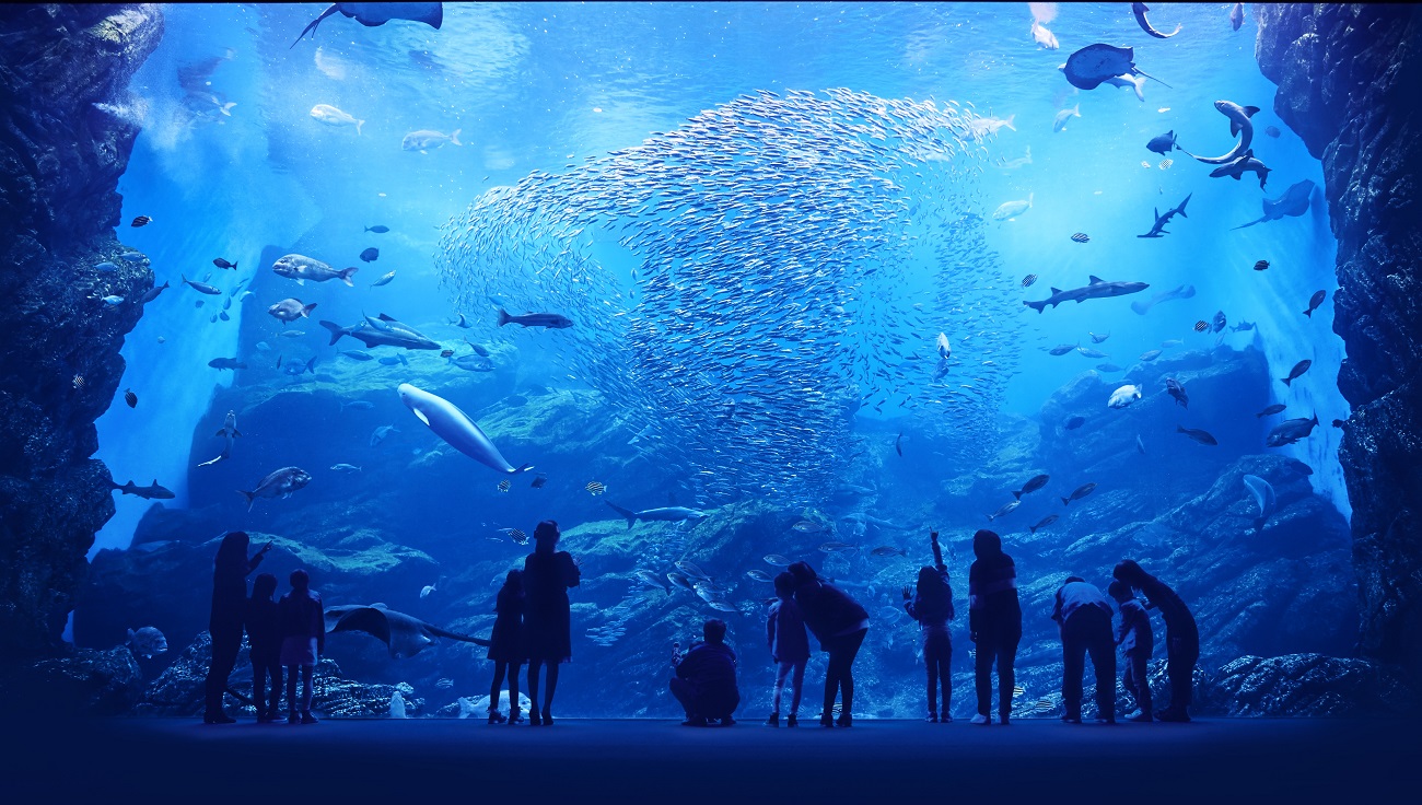 仙台うみの杜水族館-日本の海