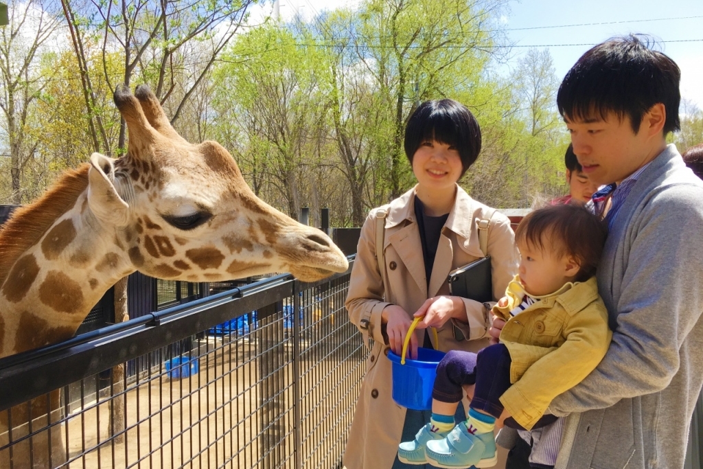 北海道の動物園おすすめ6選！人気のふれあい体験・餌やりも楽しめる