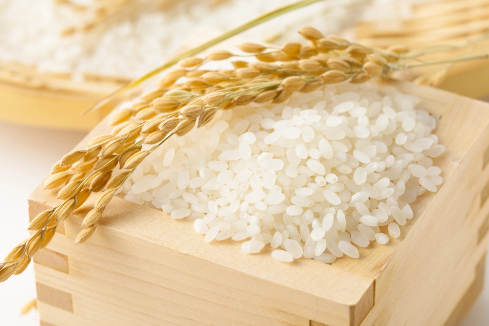 コンビニで買えるお米おすすめ厳選！無洗米やハイコスパも（2合～5kg） ichie(いちえ)