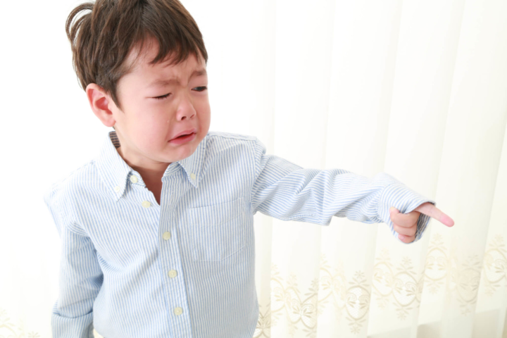 5歳児が思い通りにならないと怒る！泣く！親の対応例。発達障害の可能性は？