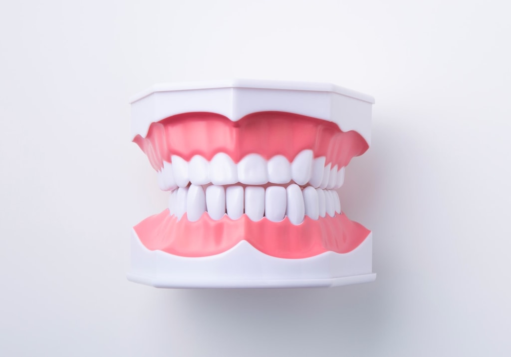 歯茎が腫れて「痛くない・固い」のは骨隆起の可能性大。癌との違いは？