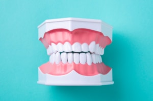 「口を閉じてる時の歯の位置」はどこが正しい？上下の歯が当たるのはNG。改善方法も