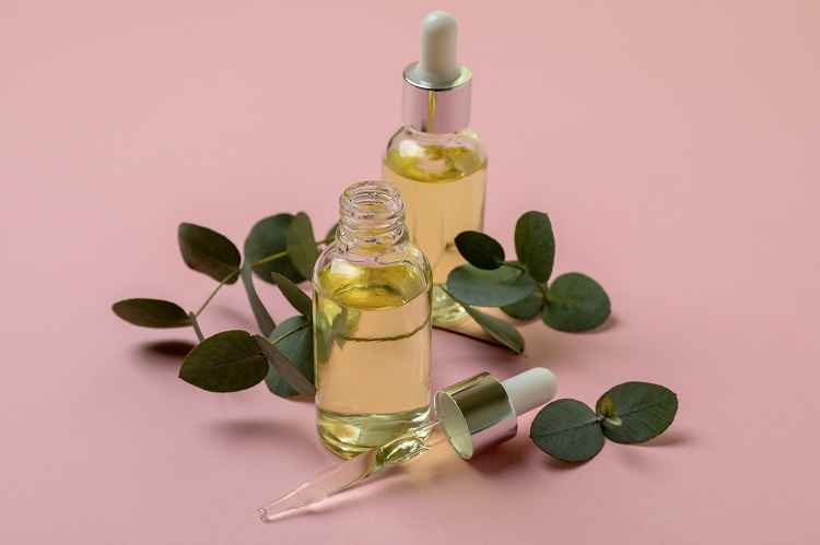 Bottles of eucalyptus oil and twigs on pink background