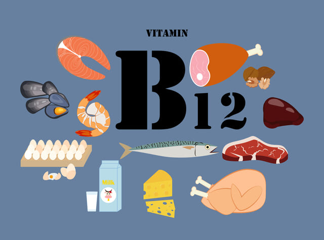 ビタミンB12の食材