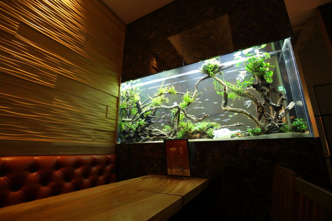 Aquarium Cafe Affinity 海老名市海老名駅 Jr イタリアン 口コミ 評判 Epark