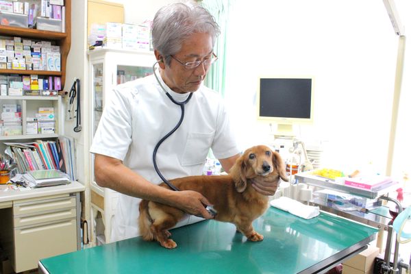 新行内(しんぎょうち)誠 / 院長