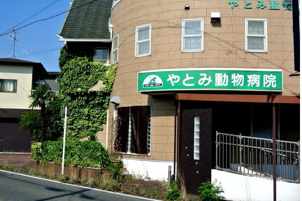 やとみ動物病院