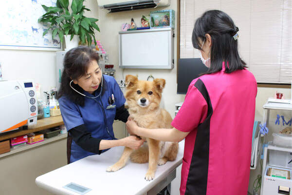 いがり動物病院_こだわり_1