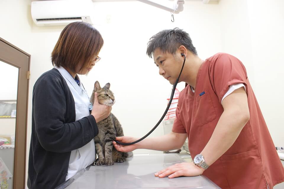 クリハラペットクリニック_9