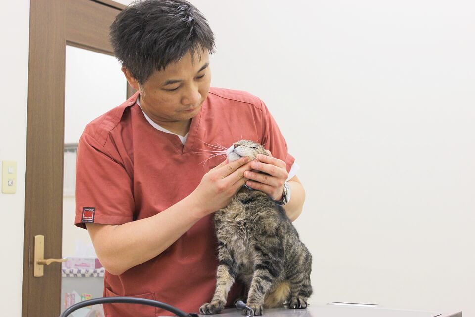 栗原正樹 / 院長