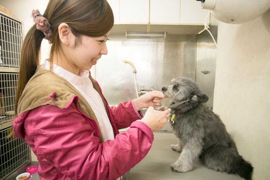 ナガワ動物病院_3