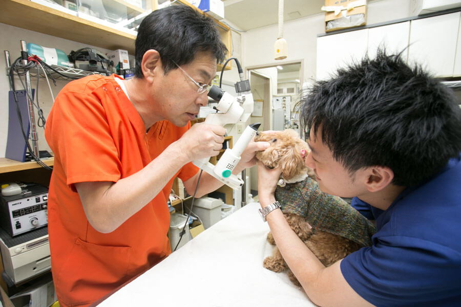 ナガワ動物病院_こだわり_3
