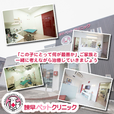 諫早ペットクリニック