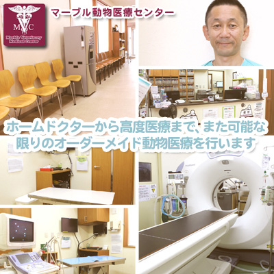 マーブル動物医療センター