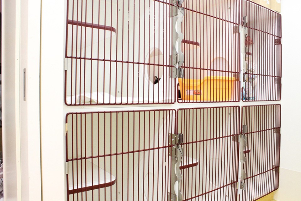 みんなの木動物病院_15