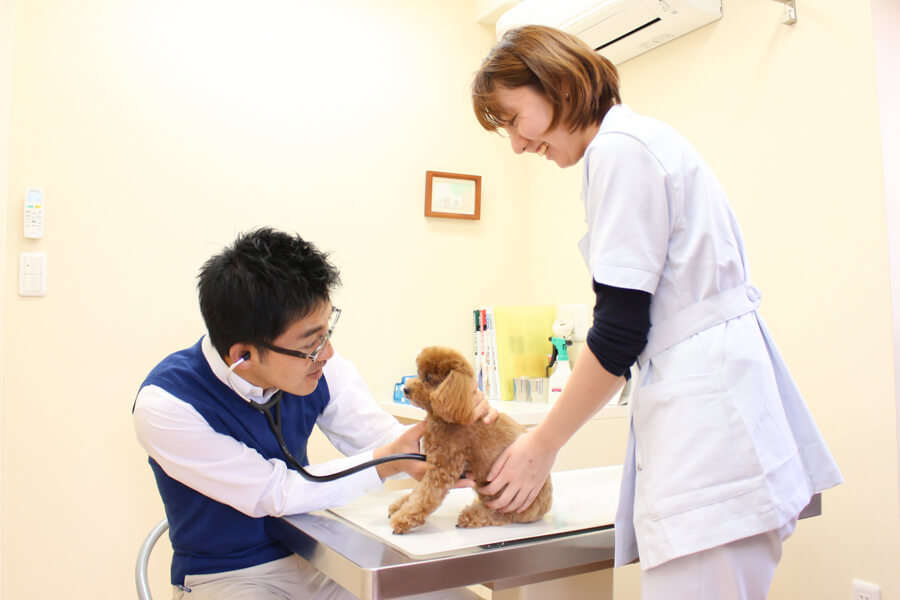 みんなの木動物病院_17