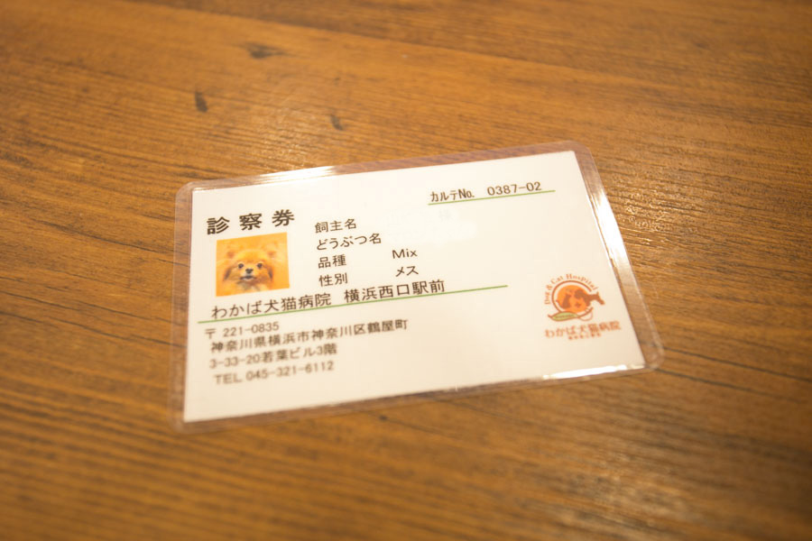 わかば犬猫病院 横浜西口駅前_6