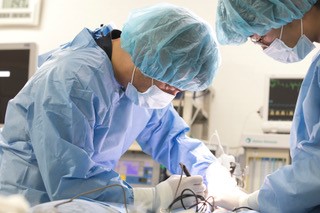 こにし動物クリニック_3