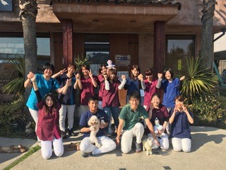 こにし動物クリニック_7