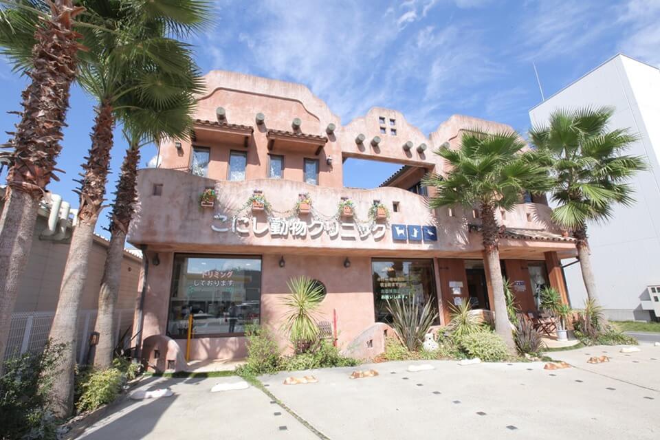 こにし動物クリニック