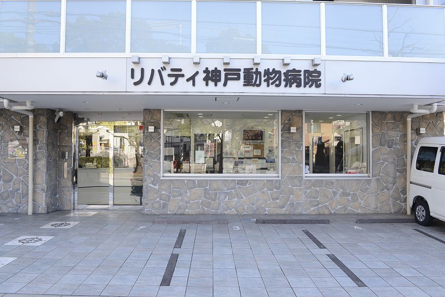 リバティ神戸動物病院_14