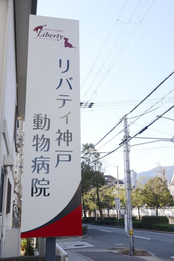 リバティ神戸動物病院_15