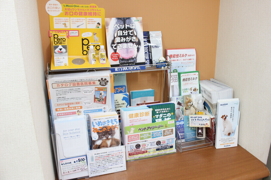 ふう動物病院_14