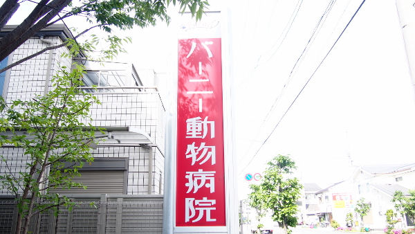 バーニー動物病院_5