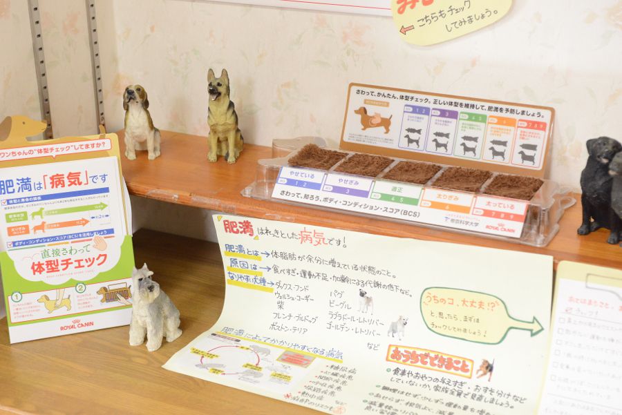 フレンズ動物病院_18