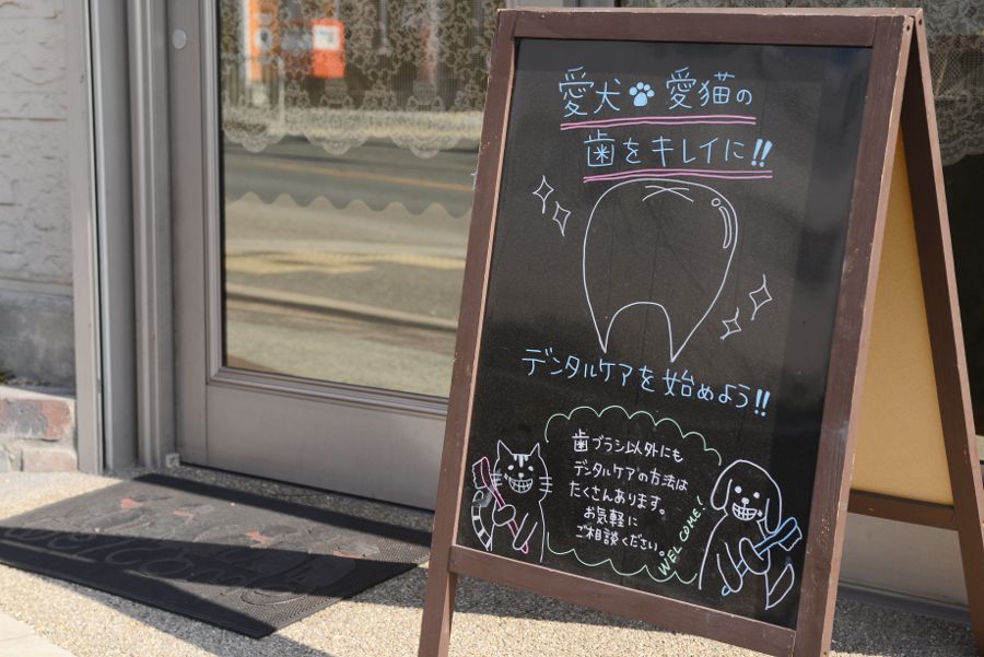 フレンズ動物病院_19