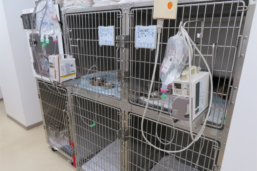 にしむら犬猫病院_こだわり_3