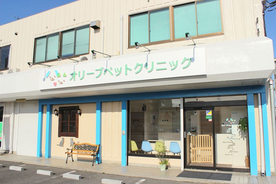 オリーブペットクリニック