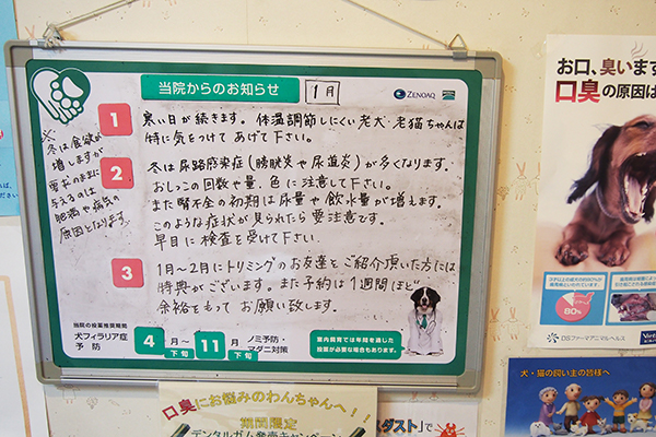 ブーケ動物病院_12