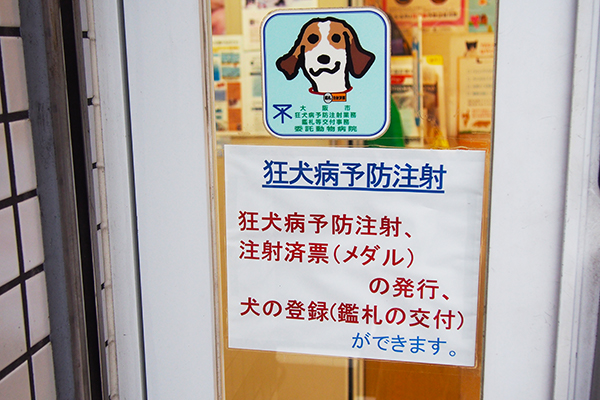 ブーケ動物病院_5