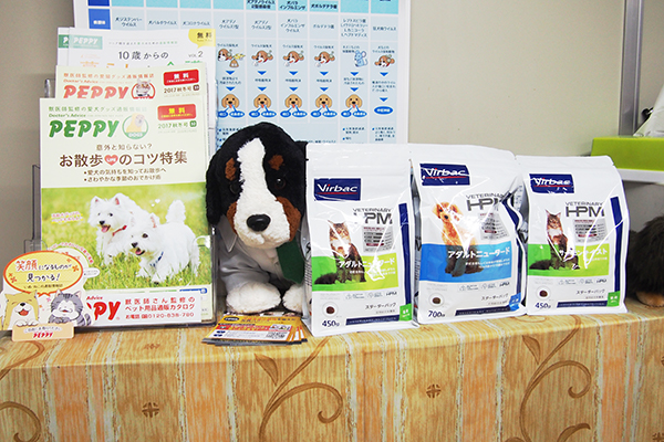 ブーケ動物病院_19