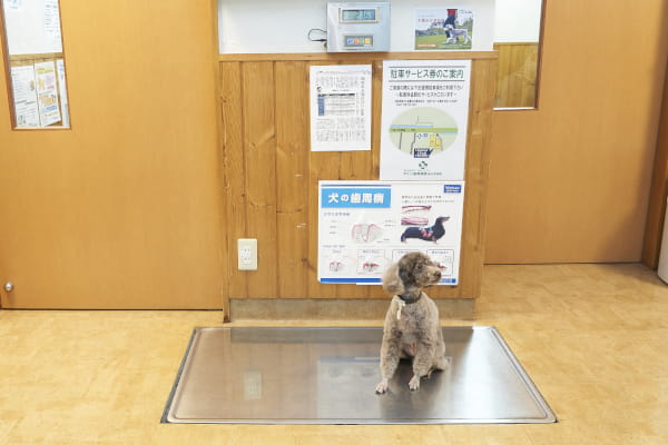 アイン動物病院南千里病院_15