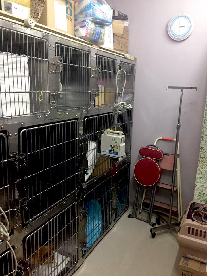 動物病院ラスティー_6
