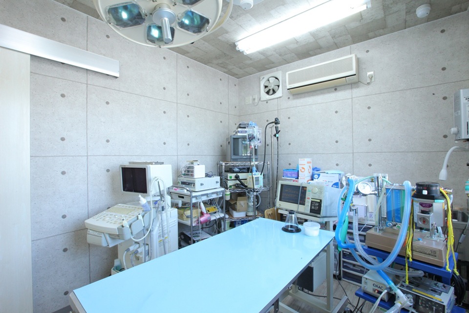 つむら動物病院_こだわり_2