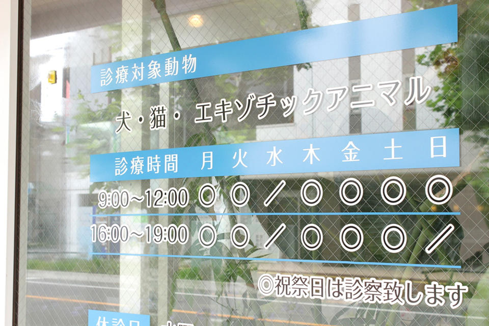 藤の花どうぶつ病院_2