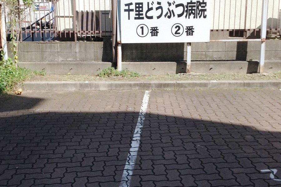 千里どうぶつ病院_4
