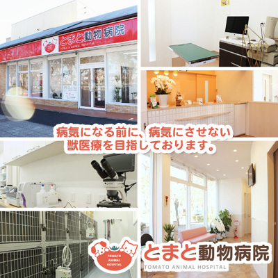 とまと動物病院