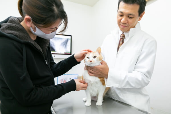 ボンド動物病院_1