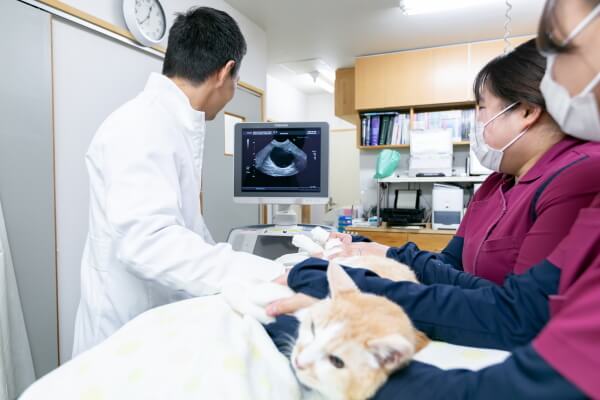 ボンド動物病院_4