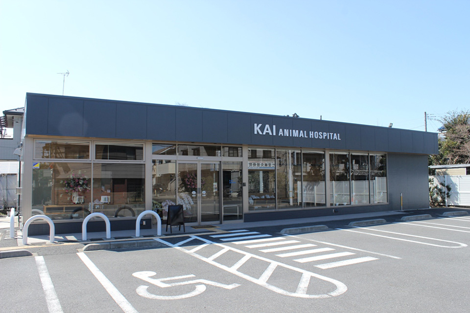 KAI動物病院_1