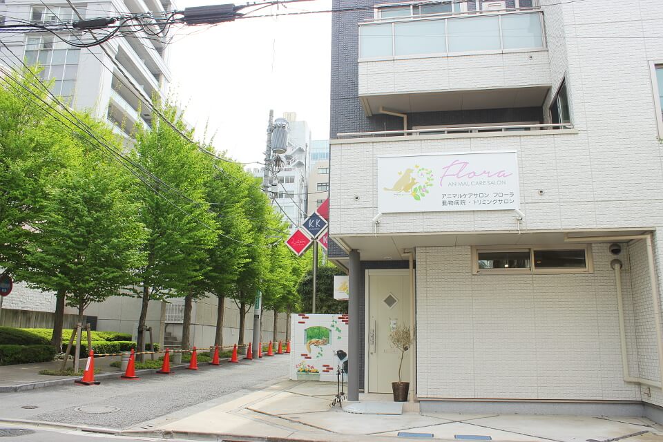 アニマルケアサロン FLORA_2