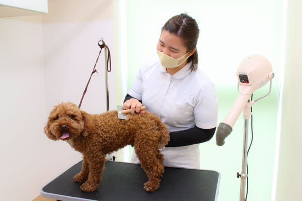 つじ動物病院_1